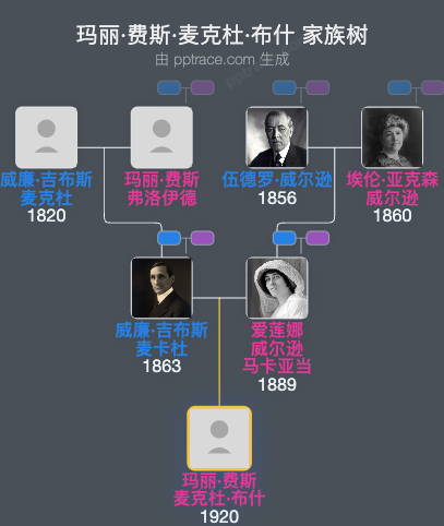 玛丽·费斯·麦克杜·布什家族树全览