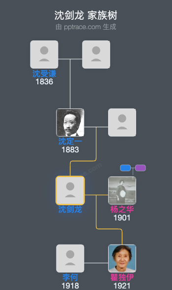 沈剑龙 家族树全览