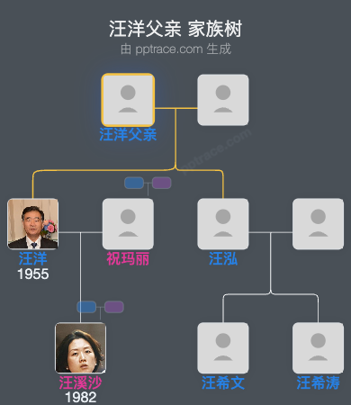 汪洋父亲 家族树全览