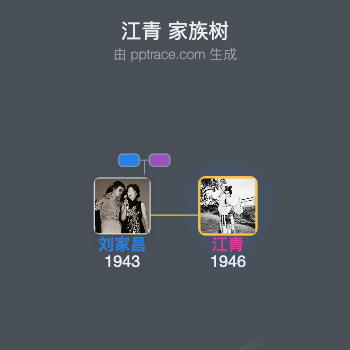 江青 家族树全览