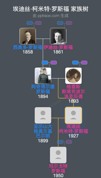 埃迪丝·柯米特·罗斯福家族树全览