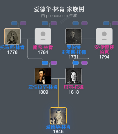 爱德华·林肯家族树全览