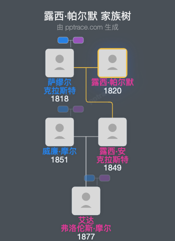 露西·帕尔默家族树全览
