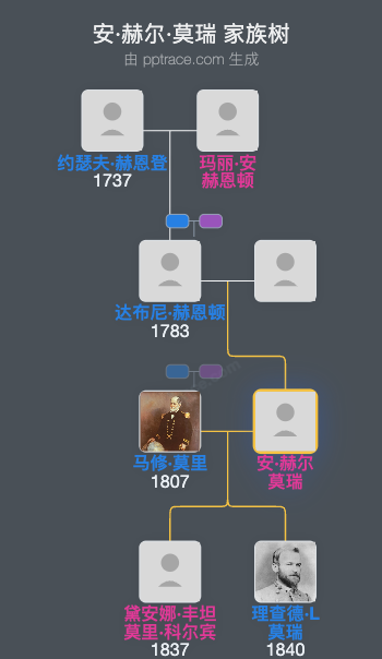 安·赫尔·莫瑞家族树全览