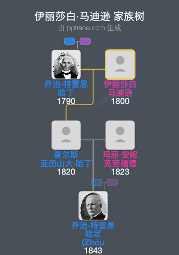 伊丽莎白·马迪逊家族树全览