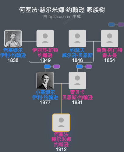 何塞法·赫尔米娜·约翰逊家族树全览