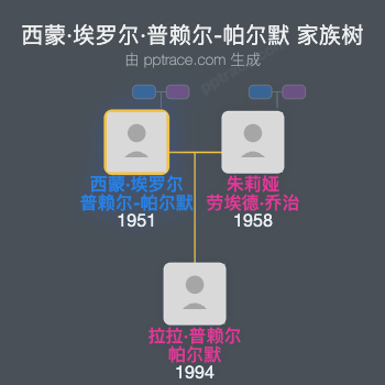 西蒙·埃罗尔·普赖尔-帕尔默家族树全览