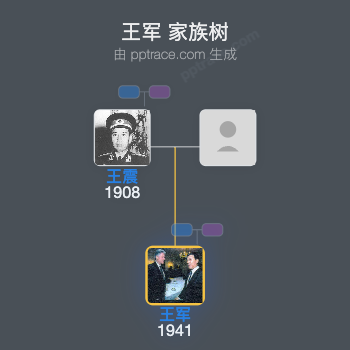 王军 家族树全览