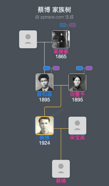 蔡博 家族树全览
