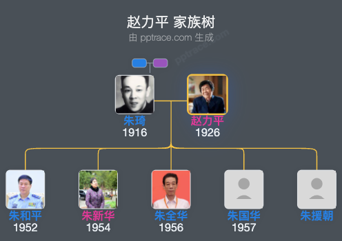 赵力平 家族树全览