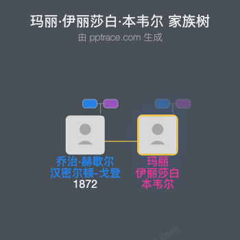 玛丽·伊丽莎白·本韦尔家族树全览