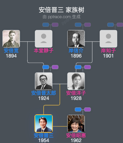 安倍晋三家族树全览