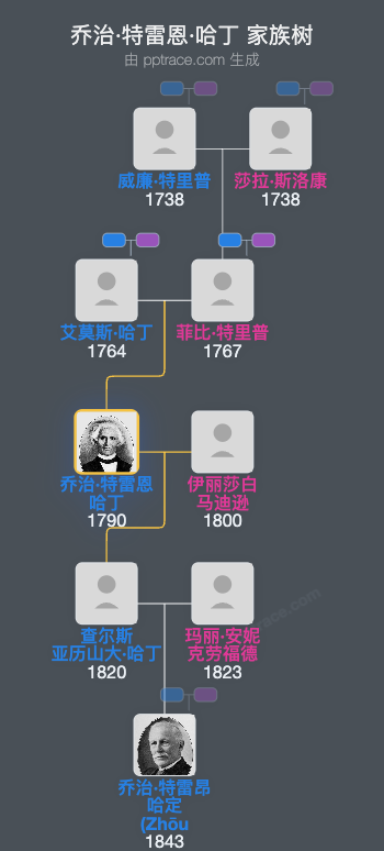 乔治·特雷恩·哈丁家族树全览