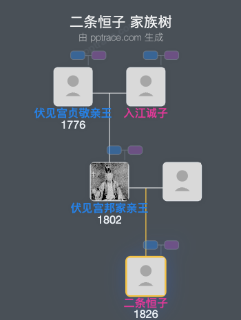 二条恒子家族树全览
