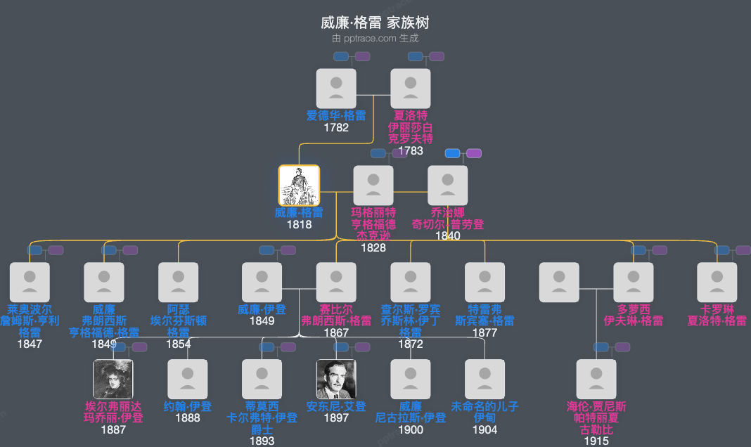 威廉·格雷家族树全览
