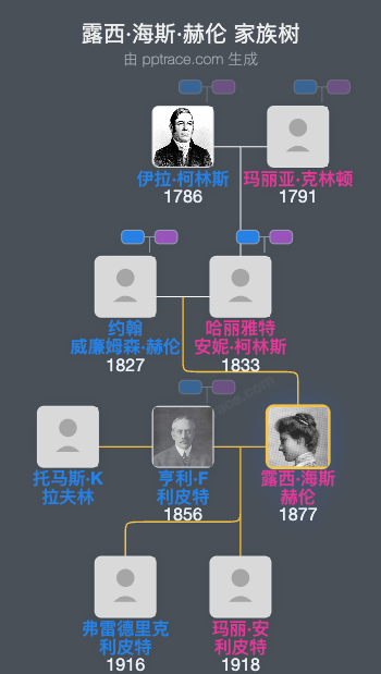 露西·海斯·赫伦家族树全览