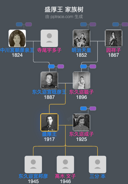 盛厚王家族树全览