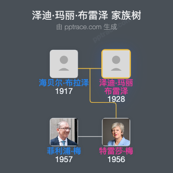 泽迪·玛丽·布雷泽家族树全览