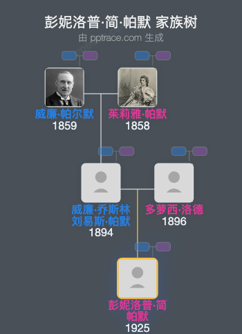 彭妮洛普·简·帕默家族树全览