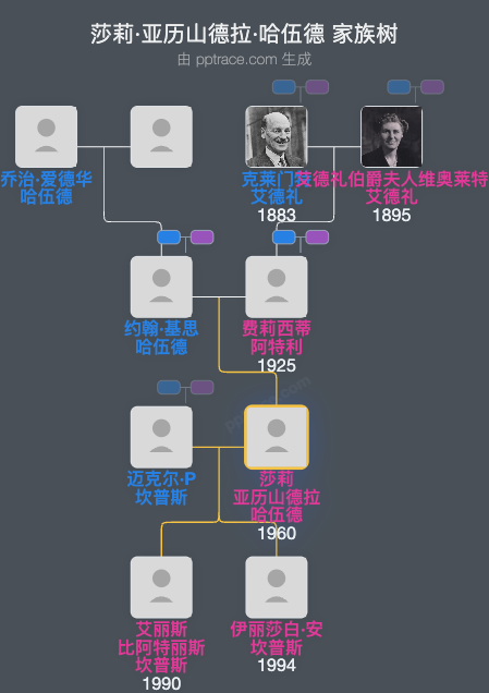 莎莉·亚历山德拉·哈伍德家族树全览