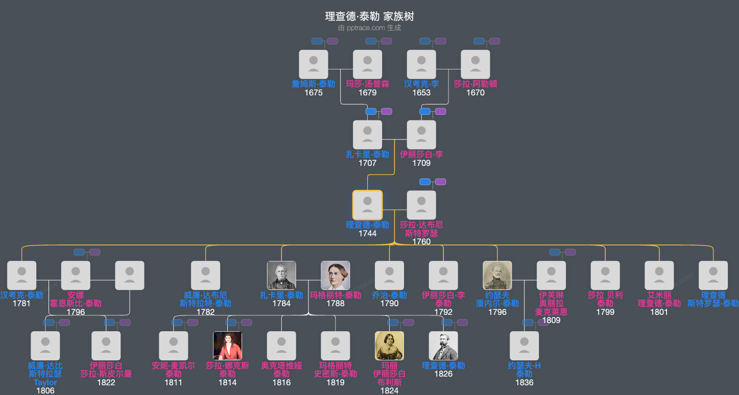 理查德·泰勒家族树全览