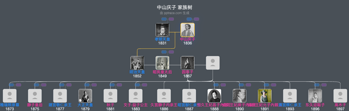 中山庆子家族树全览