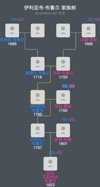 伊利亚布·布鲁尔家族树全览