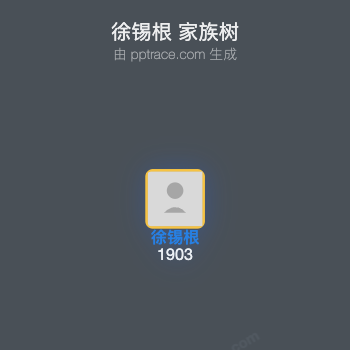 徐锡根 家族树全览