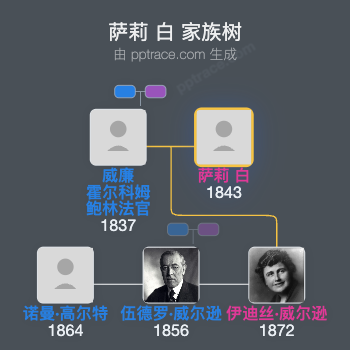 萨莉 白家族树全览