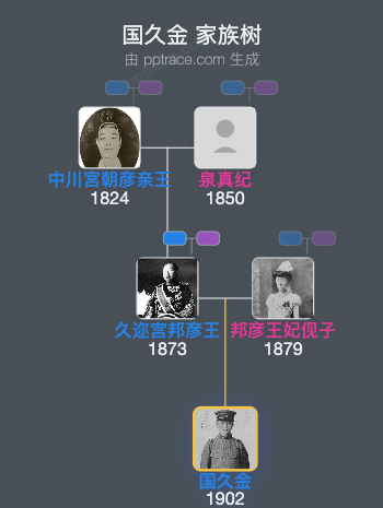 国久金家族树全览