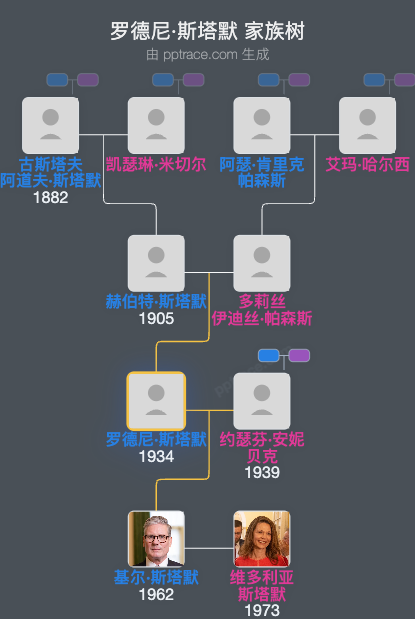 罗德尼·斯塔默家族树全览
