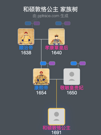 和硕敦恪公主家族树全览