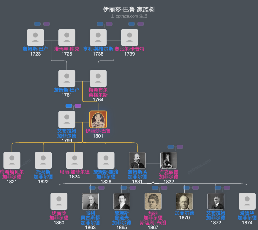 伊丽莎·巴鲁家族树全览