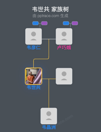 韦世共家族树全览