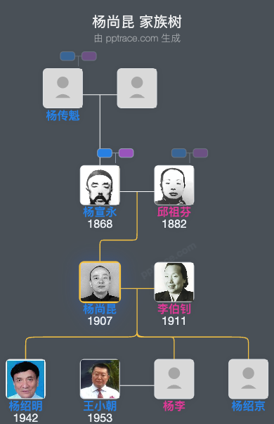 杨尚昆 家族树全览