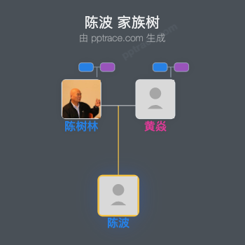 陈波家族树全览