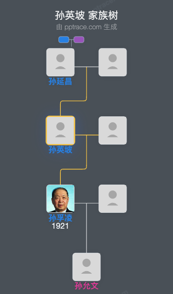 孙英坡 家族树全览