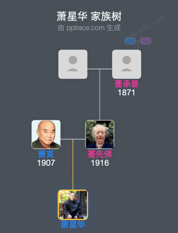 萧星华 家族树全览