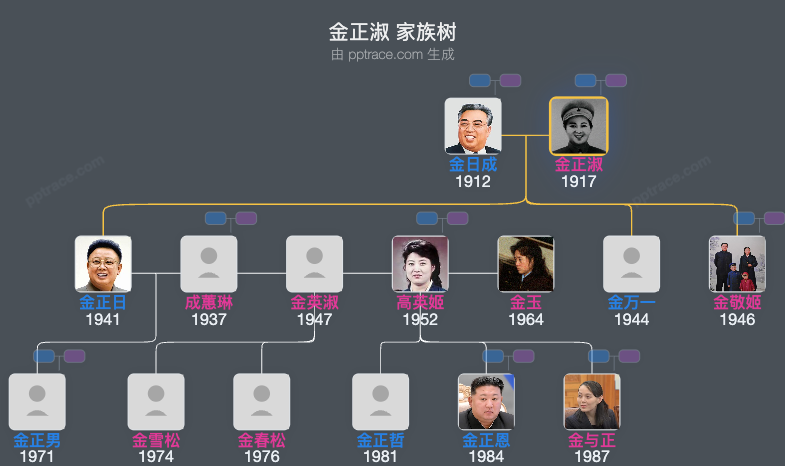 金正淑 家族树全览