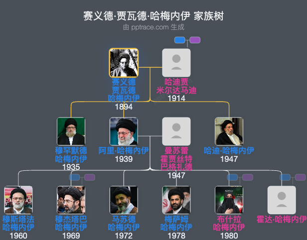 赛义德·贾瓦德·哈梅内伊家族树全览