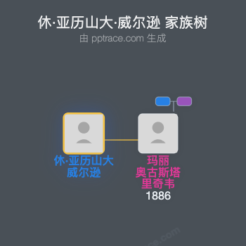 休·亚历山大·威尔逊家族树全览