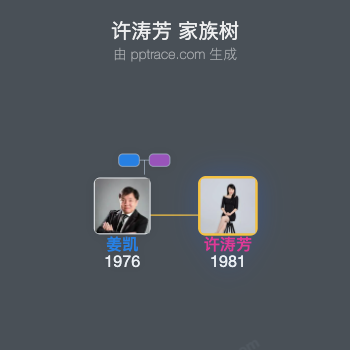 许涛芳 家族树全览