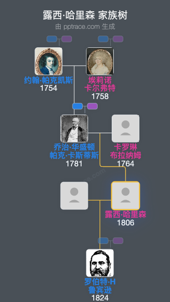 露西·哈里森家族树全览