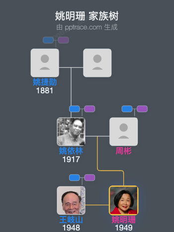 姚明珊 家族树全览