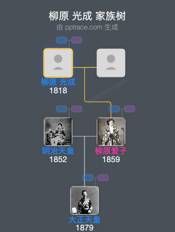 柳原 光成家族树全览