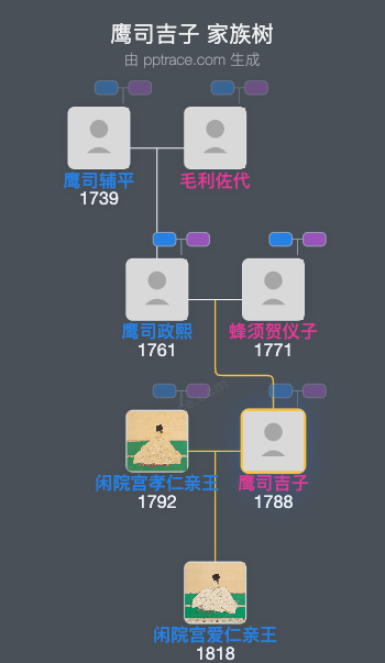 鹰司吉子家族树全览