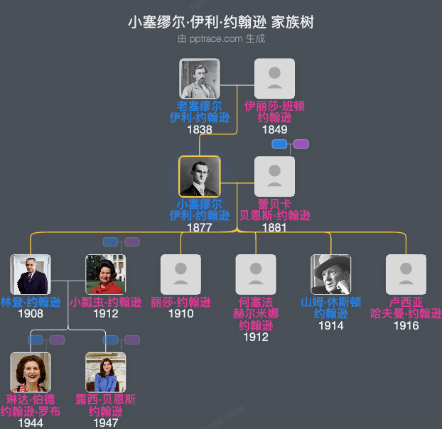 小塞缪尔·伊利·约翰逊家族树全览