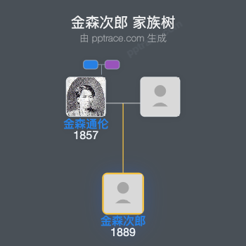 金森次郎家族树全览