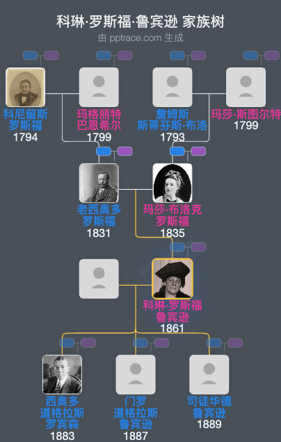 科琳·罗斯福·鲁宾逊家族树全览