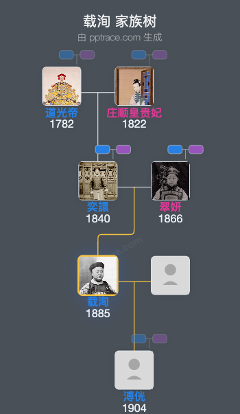载洵家族树全览